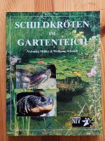 Schildkröten im Gartenteich Harburg - Hamburg Wilstorf Vorschau