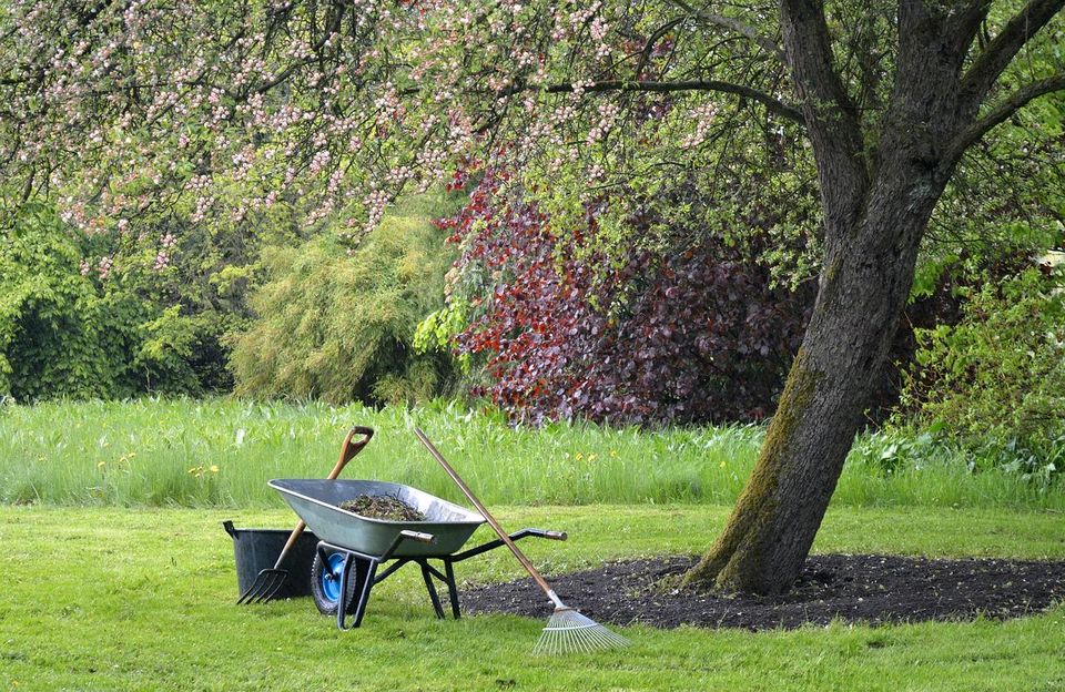 Garten und Haus Service in Neuwied