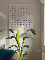 Vitra Chair Collection Poster mit Rahmen Format A0 Schleswig-Holstein - Kiel Vorschau