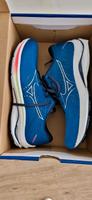 Mizuno Sportschuhe  42   und 445 Hessen - Darmstadt Vorschau