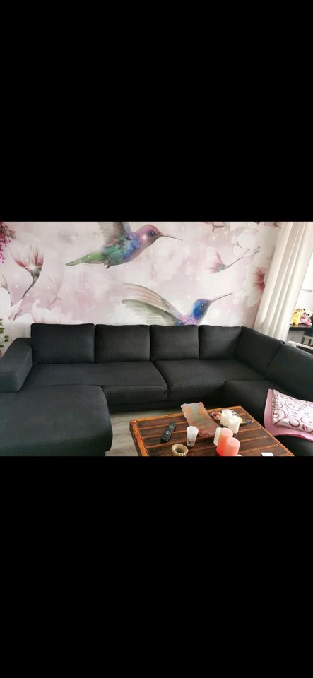 Sofa / Couch in Oberhausen
