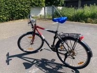 Scott Mountainbike - Jugendrad / Herrenrad 26 Zoll unverwüstlich Bonn - Kessenich Vorschau