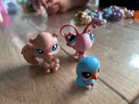 Littlest Pet Shop Figuren Nordrhein-Westfalen - Monheim am Rhein Vorschau