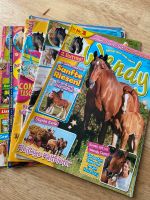 Wendy Lissy Pony Pferde Zeitschrift Magazin Zeitung lesen reiten Niedersachsen - Burgdorf Vorschau