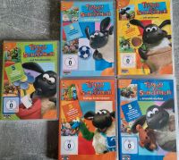 Timmy das Schäfchen DVD's für Kinder Schleswig-Holstein - Idstedt Vorschau