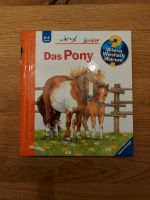 Wieso weshalb warum Pony Neu Baden-Württemberg - Wildberg Vorschau