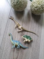 3 kleine Dinos 1 Preis Dortmund - Grevel Vorschau