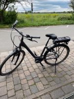 Damen E-Bike Rheinland-Pfalz - Ludwigshöhe Rheinhessen Vorschau