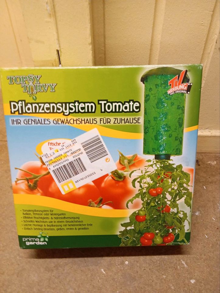 Tomaten Pflanzsystem in Berlin