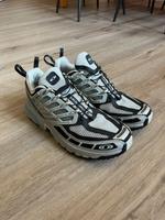 Salomon ACS Pro 42 metal/phantom/arona/silber Rheinland-Pfalz - Mainz Vorschau