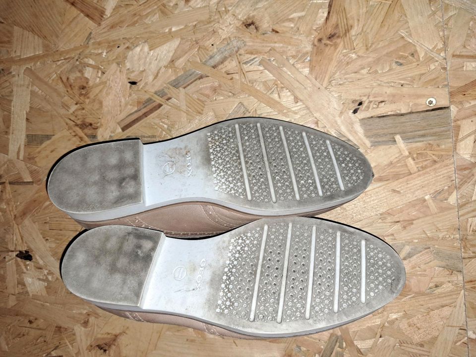 Budapester Schuhe von Geox in Ludwigsfelde