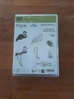 Stampin up Stempel Flamingo Fantasie Baden-Württemberg - Berg Vorschau