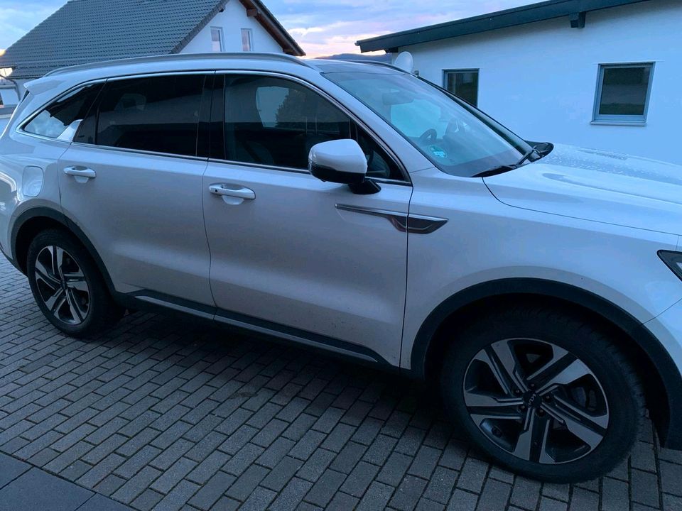 Kia Sorento 1.6 i T- Plug-in Hybrid PHEV AWD in Hundsangen