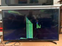 Samsung UE40J5250SS 40 Zoll TV Defekt Leipzig - Sellerhausen-Stünz Vorschau