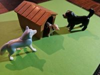 Playmobil Bauernhof Hunde,  guter Zustand Rheinland-Pfalz - Waldbreitbach Vorschau