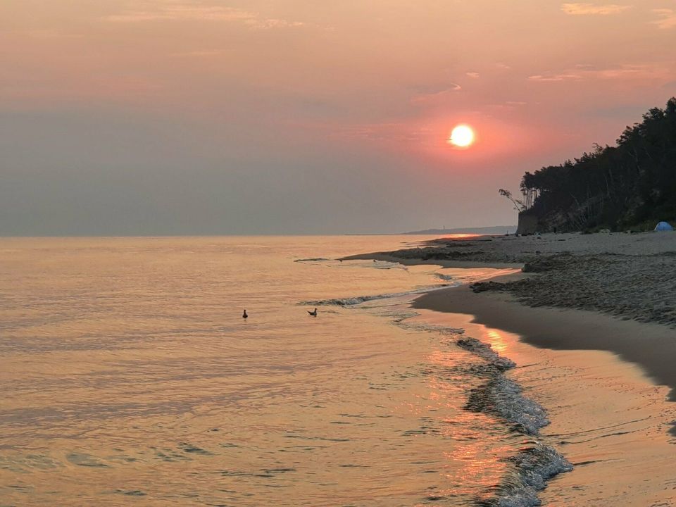 Baltic Mare Ferienhaus Ostsee Polen 6 Personen Kamin Ostern in Berlin