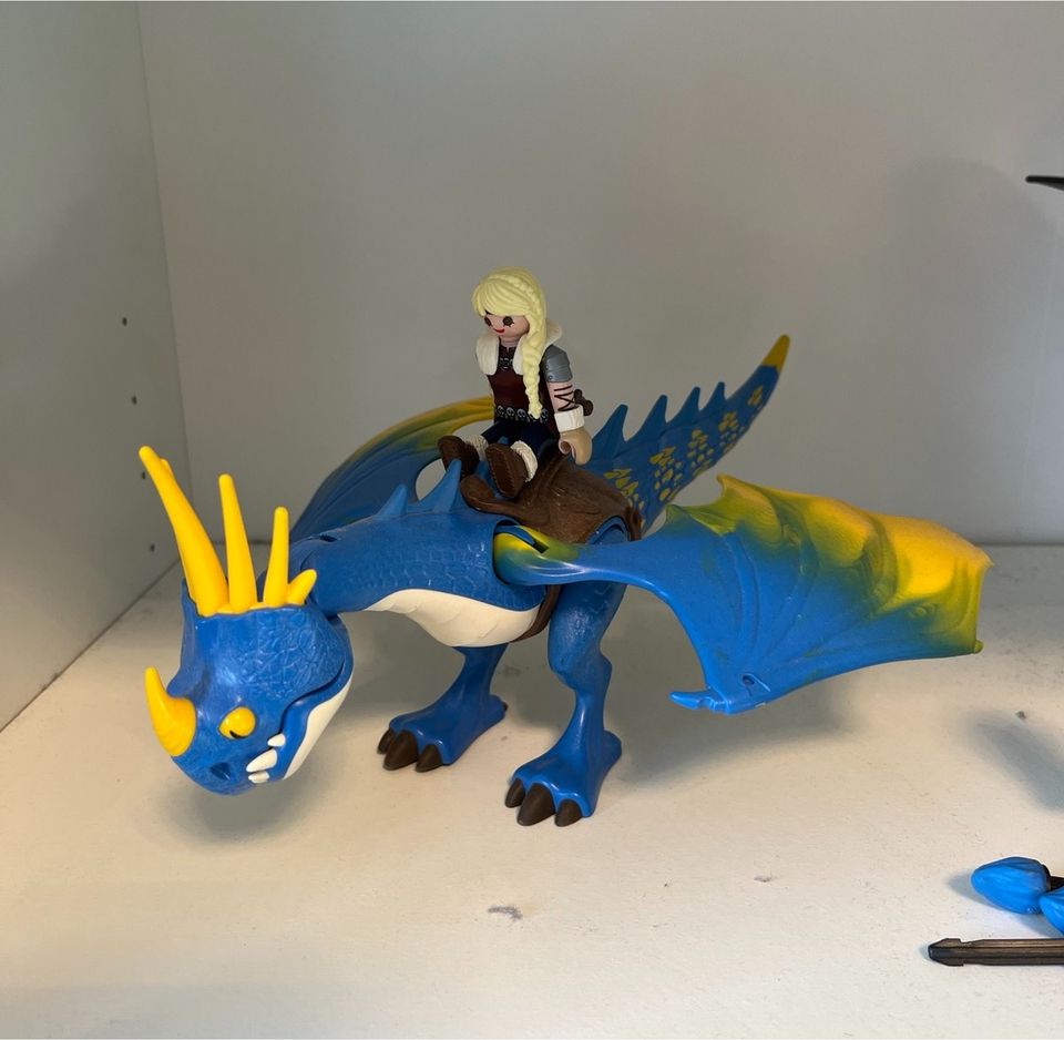 Playmobil Dragons 9246 & 9247 Astrid und Hicks in Tramm