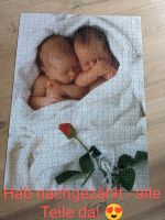 Puzzle Anne Geddes Zwillinge 1000 Teile Baden-Württemberg - Mosbach Vorschau