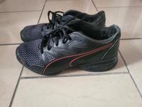 Puma sneaker Größe 43 Nordrhein-Westfalen - Krefeld Vorschau