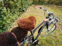 FAHRRADSATTEL WEICHE FAHRRADSITZBEZÜGE Bezug Schaffell Eimsbüttel - Hamburg Rotherbaum Vorschau