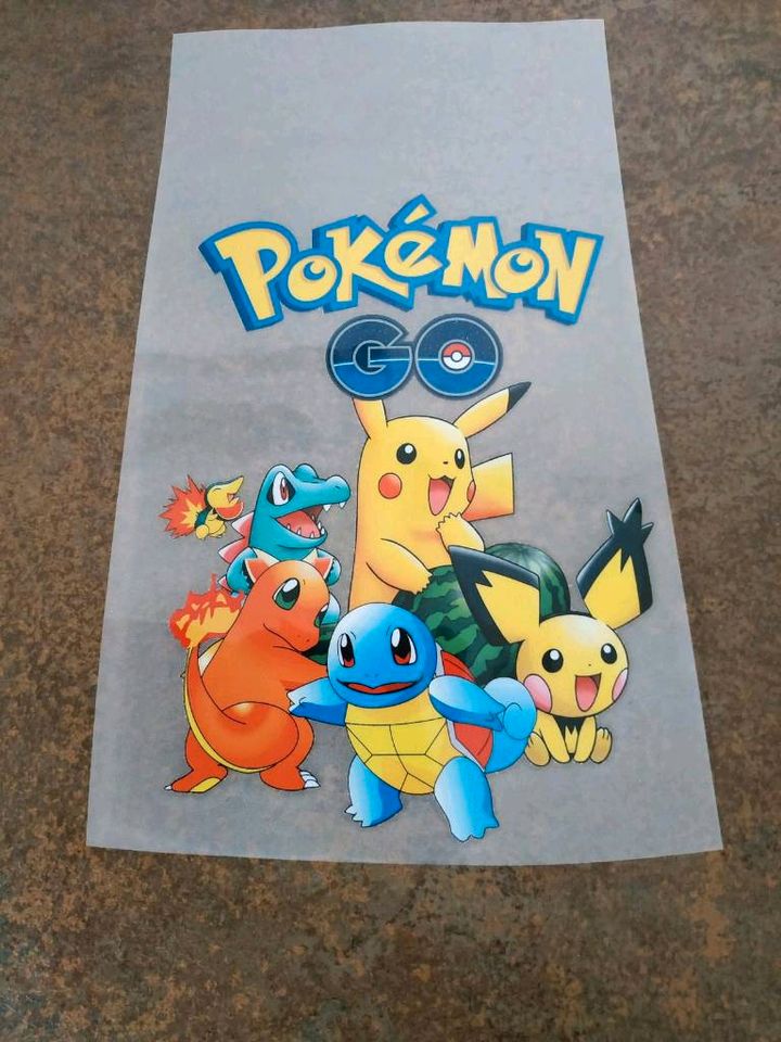 Pokemon Bügel-Applikation groß 28cm hoch, 23cm breit in Niederschönenfeld