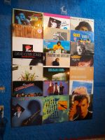 Schallplatten Sammlung Rock / Pop / Jazz Rock Bremen - Hemelingen Vorschau