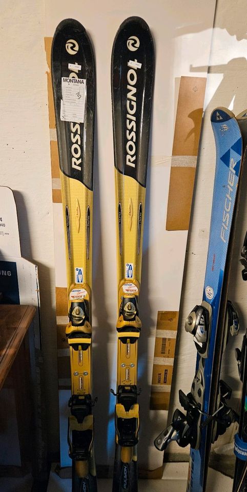 Ski Rossignol 156 cm in Neusäß