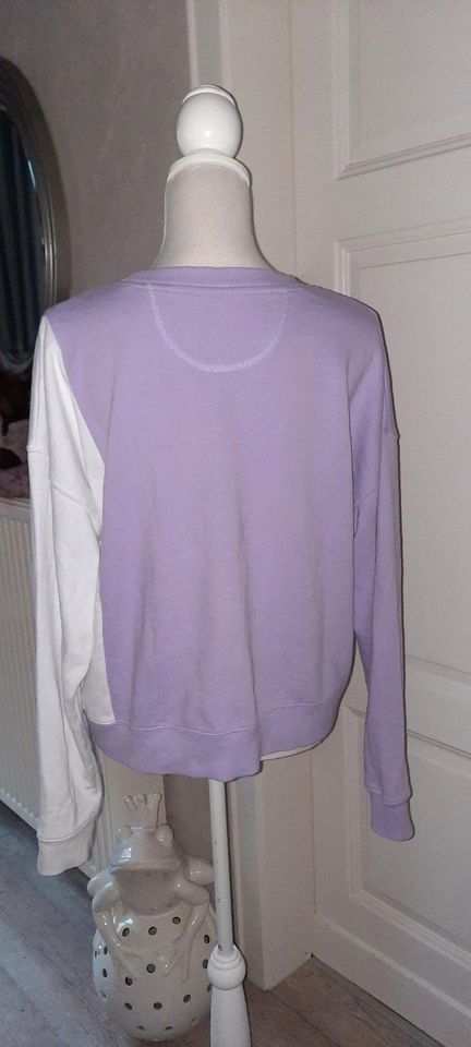 DKNY  Sweatshirt gr.L Lila in Bielefeld