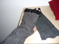 Stulpen Pulswärmer Fingerlose Handschuhe  grauWollwalk Gr. M-L NE Nordrhein-Westfalen - Gummersbach Vorschau