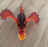 Drache, Dragon Flensburg - Mürwik Vorschau