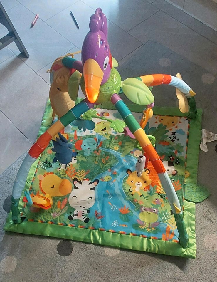 Fisher Price Spielbogen Rainforest in Ueckermuende