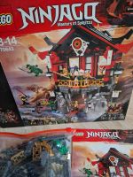 Lego Ninjago 70643 komplett mit Anleitung und Karton Brandenburg - Schönefeld Vorschau