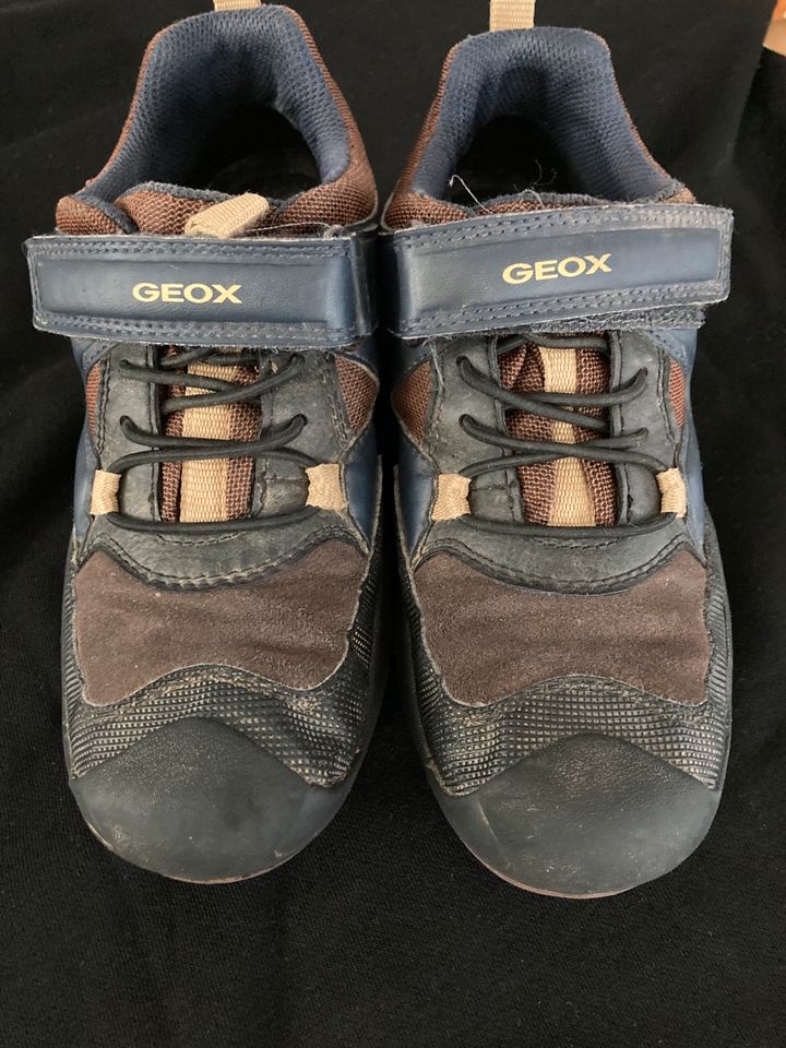 Geox Winterschuhe Schuhe Größe 34 in Kusel