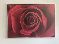 IKEA Bild Wandbild Bilderrahmen Motiv Rose *Top-Zustand* Nordrhein-Westfalen - Herdecke Vorschau