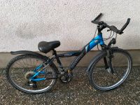 Bikespace Fahrrad 26 Zoll Bayern - Sennfeld Vorschau