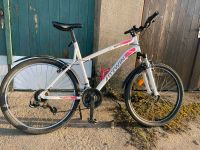 Fahrrad 26 zoll XL Ludwigslust - Landkreis - Neustadt-Glewe Vorschau