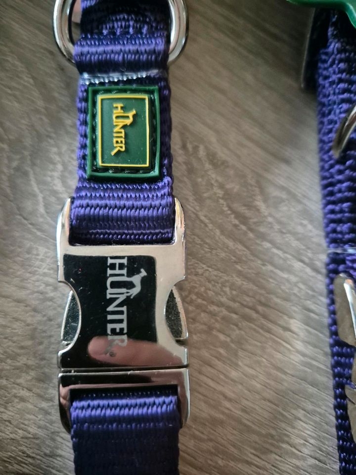 Halsband Hunter / Hunter Halsbänder Nylon Violet und Petrol in Herschbach