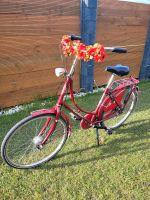 Holland Fahrrad "Excelsior Luxus" Nordrhein-Westfalen - Welver Vorschau