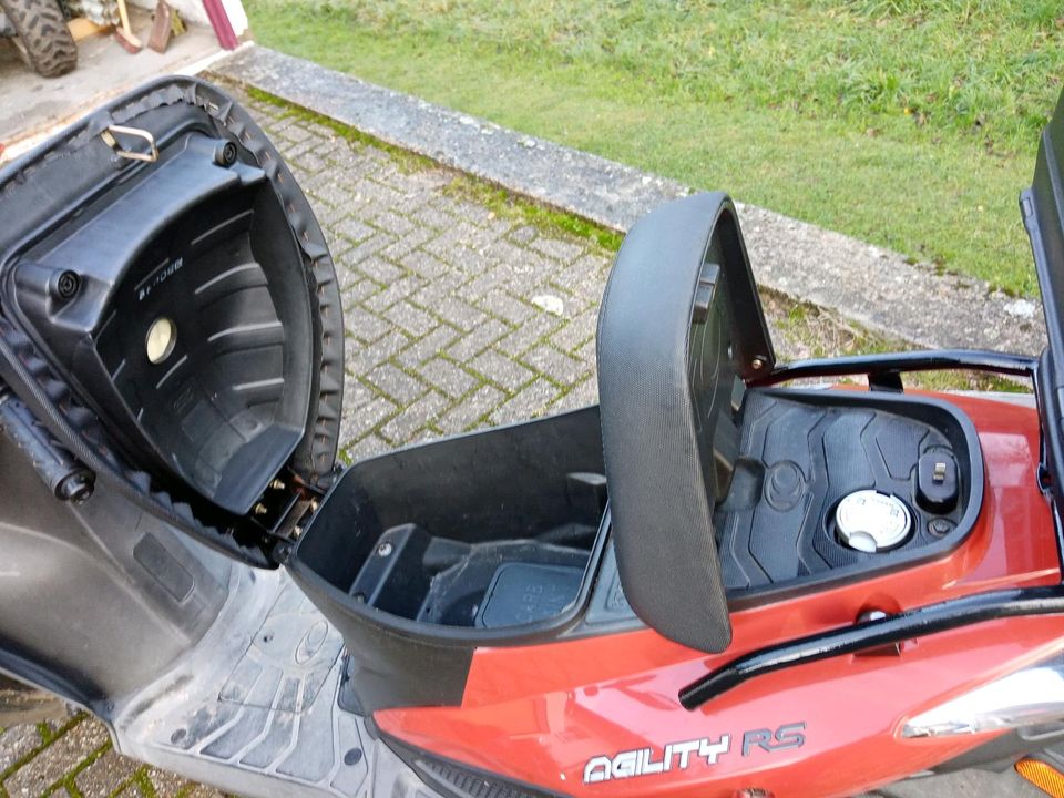 Kymco Roller Agility RS 50 Mofa in Bad Herrenalb