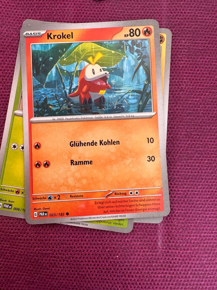 Pokémon Karten in Rosenheim