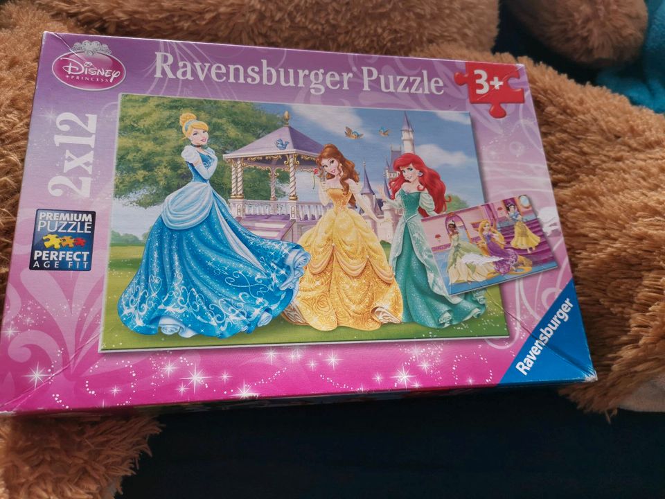 Disney Puzzle Prinzessin in Bremen