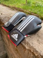 Adidas Boxhandschuhe Energy 100 Sachsen - Chemnitz Vorschau