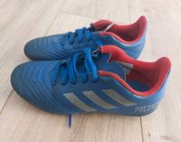 Adidas Predator Fußballschuhe Stollenschuhe 33 Nordrhein-Westfalen - Königswinter Vorschau