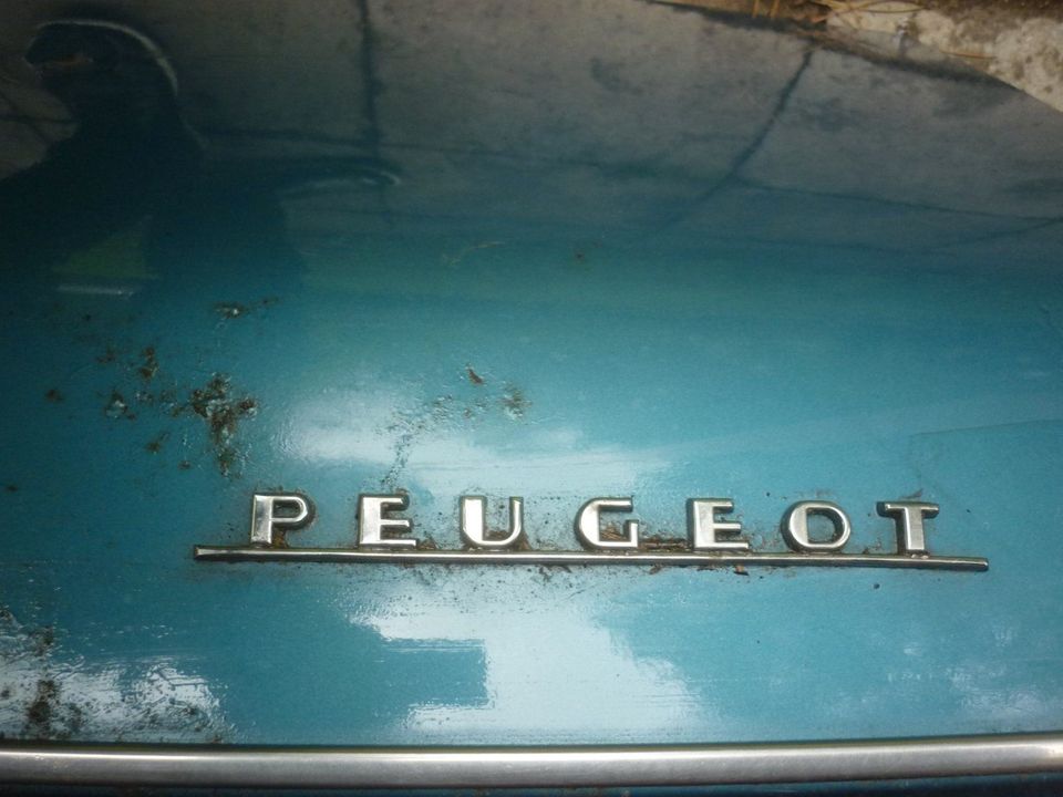 Heckklappe für Peugeot 204 in Vaterstetten