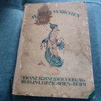 Antikes Großes Märchen Buch 1920 Hauffs Märchen Berlin Alfred Hag Schleswig-Holstein - Itzehoe Vorschau
