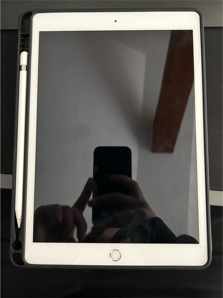 iPad 8. Generation 32GB Silber in Steinhöfel