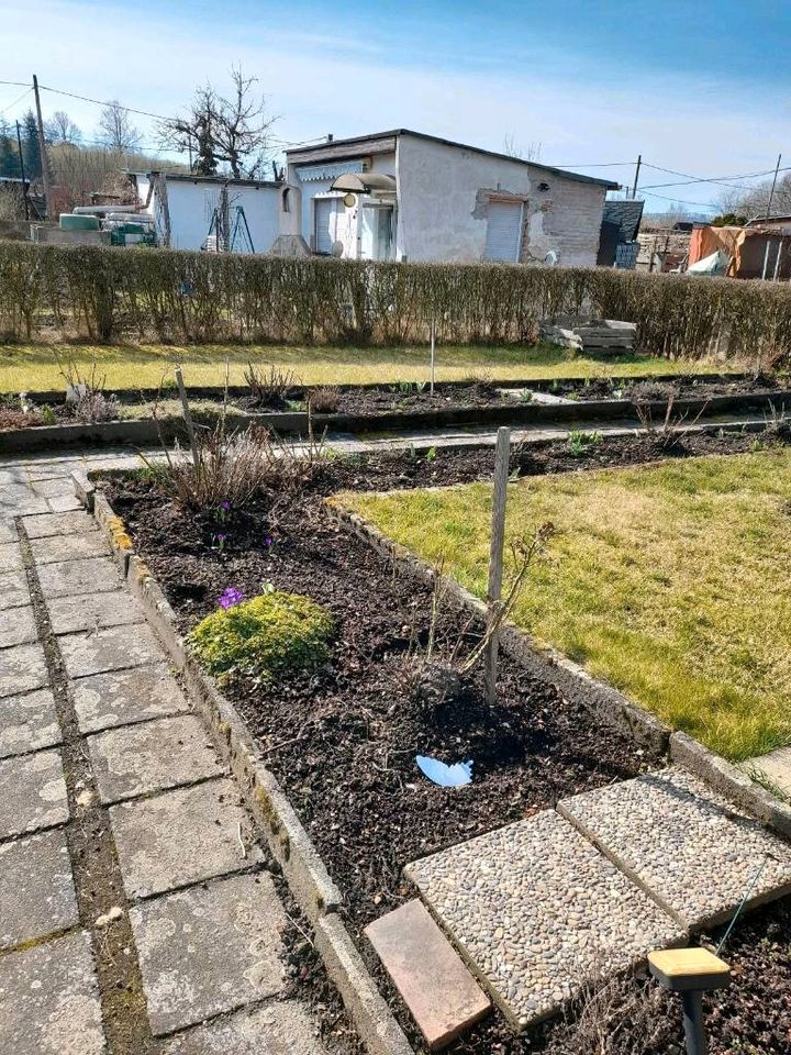 schöner Pachtgarten abzugeben,Saison hat begonnen! in Gersdorf