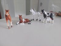 Schleich Pferde Baden-Württemberg - Reichenbach an der Fils Vorschau