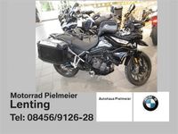 Triumph Tiger 900 GT Low Bayern - Lenting Vorschau