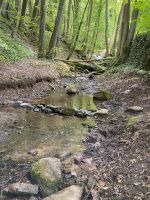 Garten zu verkaufen Stuttgart - Sillenbuch Vorschau